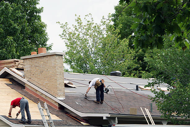 Best Roof Gutter Cleaning  in Elgin, SC